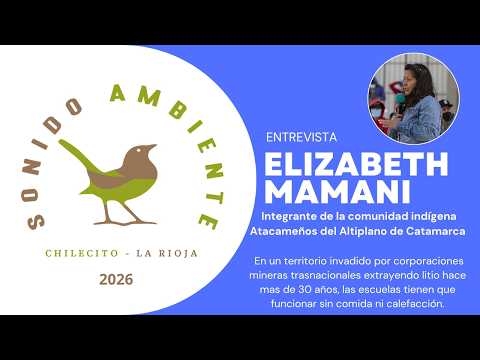 Entrevista a Elizabeth Mamani