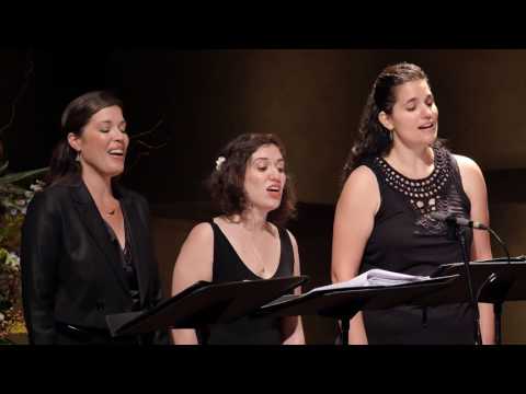 Cecilia Ensemble - You are the new day