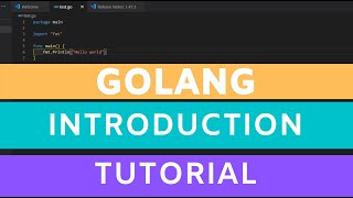 Golang tutorial for beginners - Introduction, first app and installation