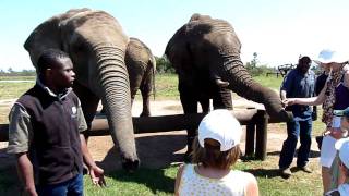 preview picture of video 'Elephant Sanctuary - Video 3 of 4'