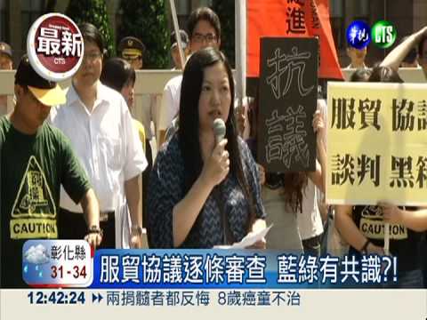 服貿協議逐條審查 藍綠有共識?!