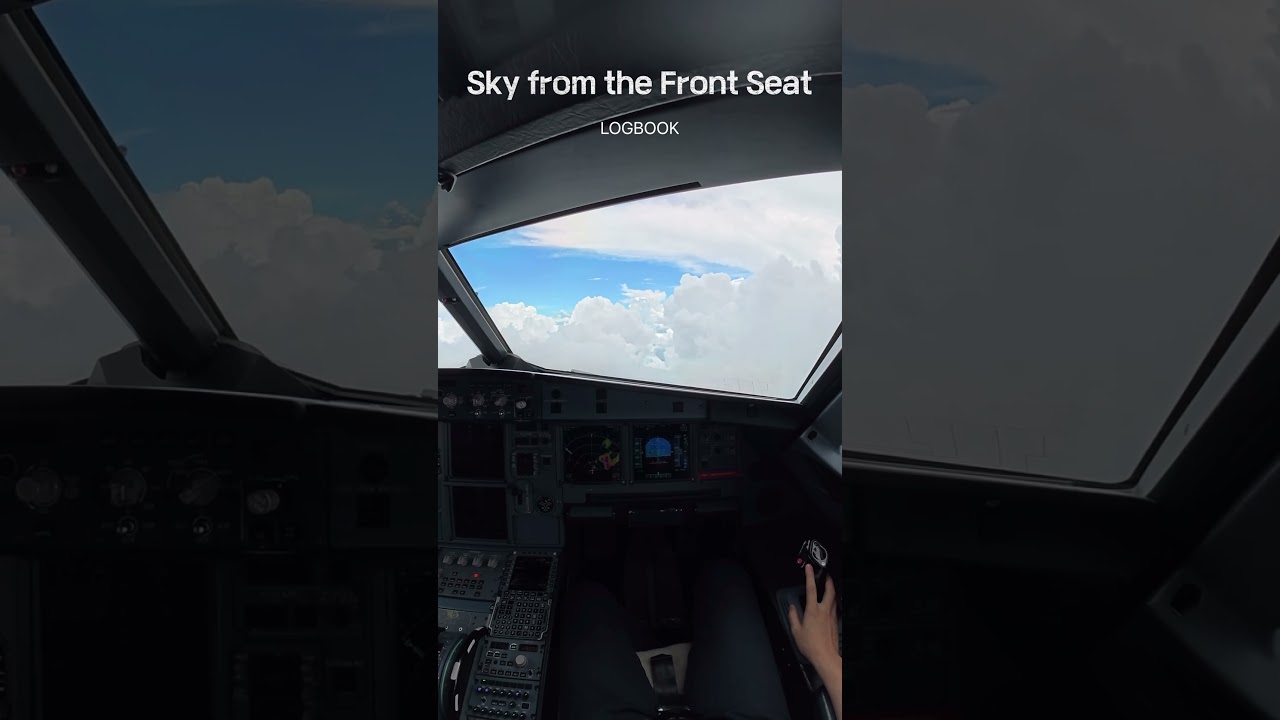 Pilot view #airbus #landing #aircraft