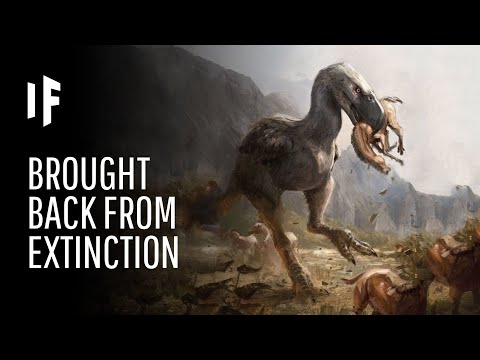 絶滅した動物を生き返らせることができたら？ (What If Extinct Animals Could Be Brought Back to Life?)