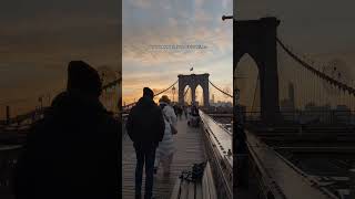 Wow😍 #newyork #trend #cocotte