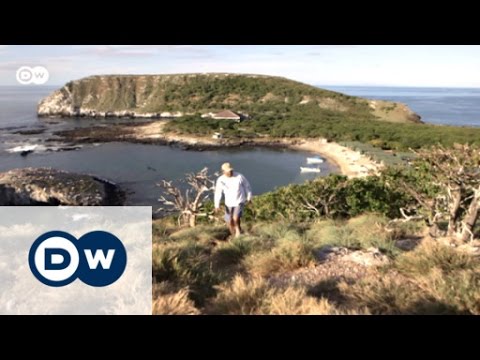 Isla Isabel: The Galapagos of Mexico | Global Ideas
