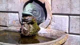 preview picture of video 'Syston Hall Lincs dolphin fountain REVIVALHERITAGE quickview'