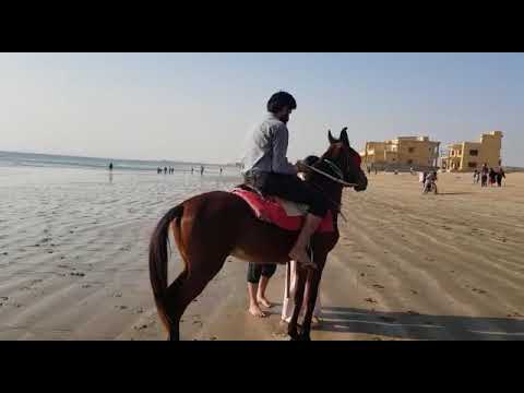 Horse riding at sandspit beach Karachi. #karachi #horseriding