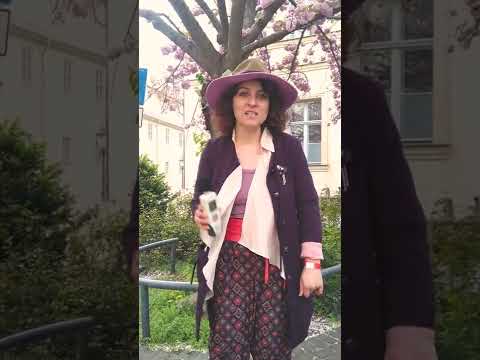 Spontanpartys in Halle – Wie laut sind 69 Dezibel?