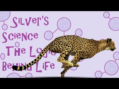 Silver's Science | Episode 8 | A Cheetah's Speed