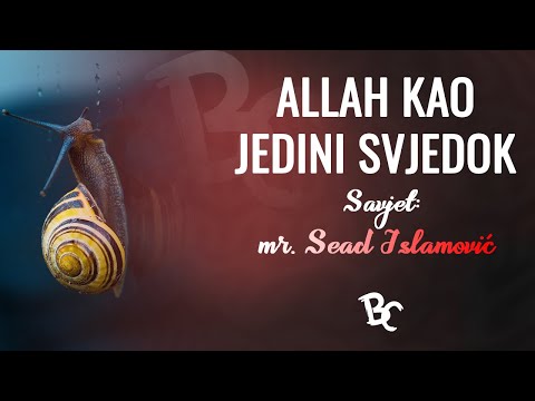 Allaha uzeo za svjedoka i žiranta ┇ mr. Sead Islamović ᴴᴰ