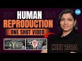 Human Reproduction Class 12 One Shot | All Theory, Tricks & PYQs | NEET 2024 Biology | Ritu Rattewal