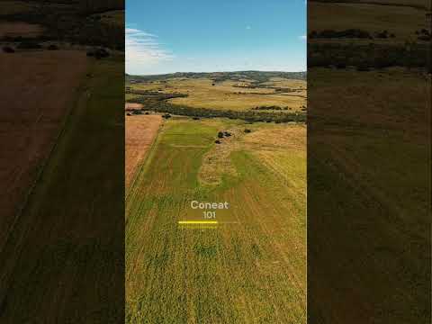 Campo en Venta 10 hectáreas Las Cañas Maldonado