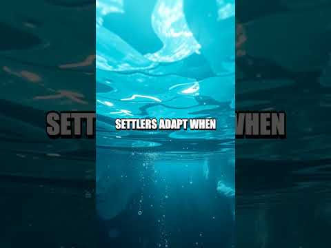 Dome of Analog Frontiers: Ocean Beneath the Ice