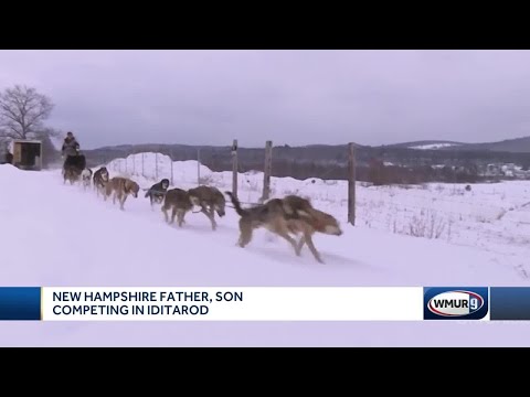 NH pai e filho competindo em Iditarod