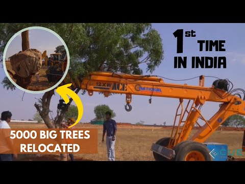 PANNA MAJUMDAR portfolio video3