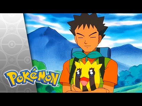 Moving Pictures | POKÉMON FULL EPISODE 30 | Season 4