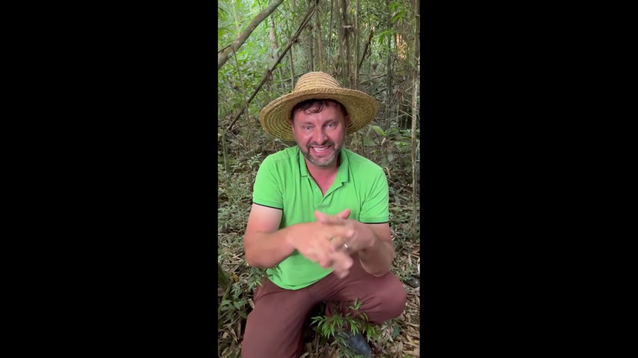 O passo a passo dos microorganismo eficientes (EM E TMT) como fazer…👍