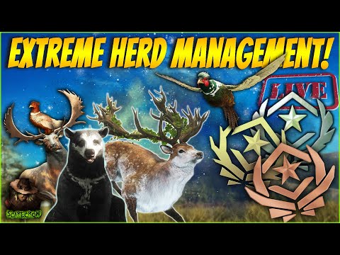 GREAT ONE BEAR GRIND IS BACK! The Map Is POPPING OFF! Diamonds Everywhere! Call of the wild