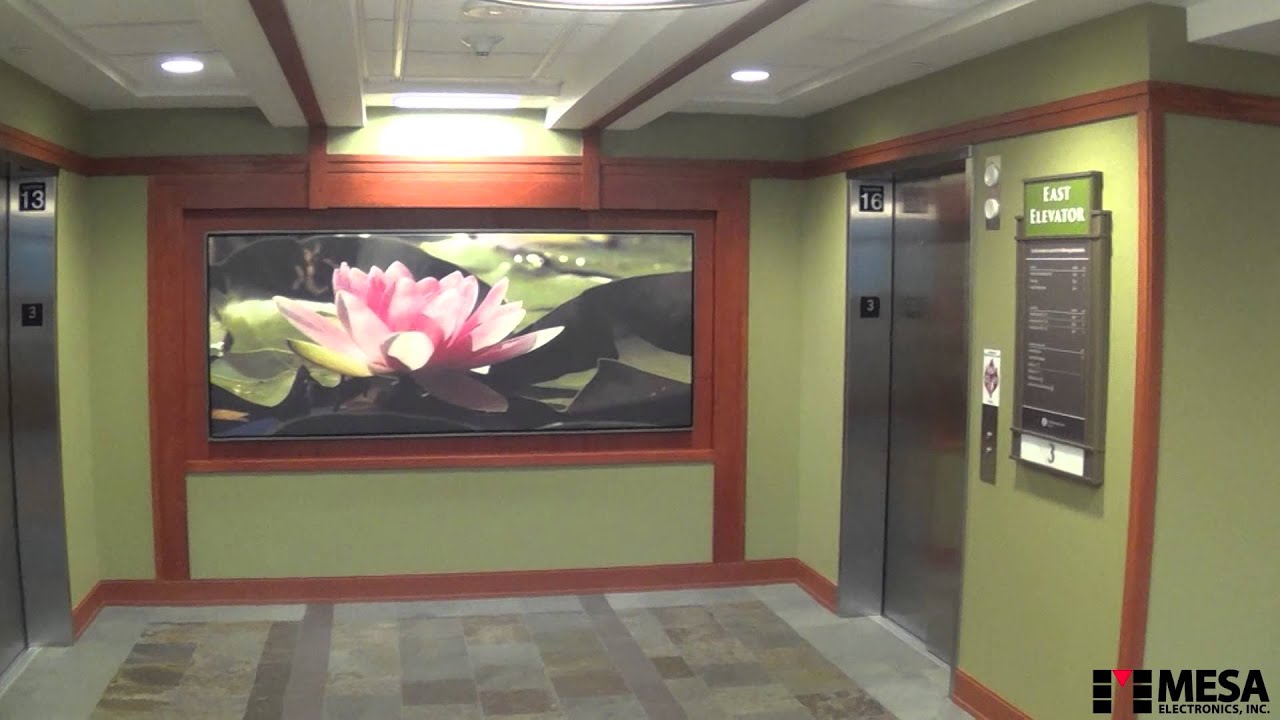 Introducing Mesa Electronics, Inc.