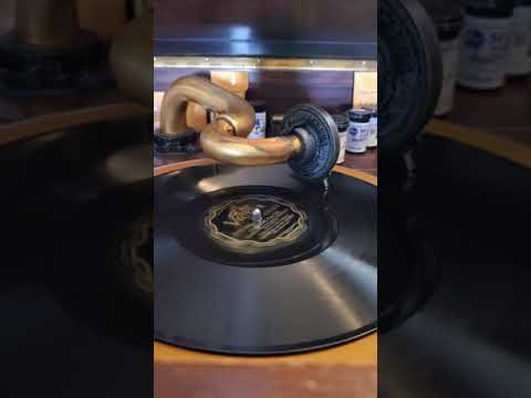 Charming - Leo Reisman and his Orchestra  Victor Records #22233 1929