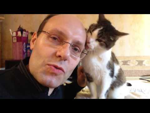 Mikka likes Heidenheimer Zeitung