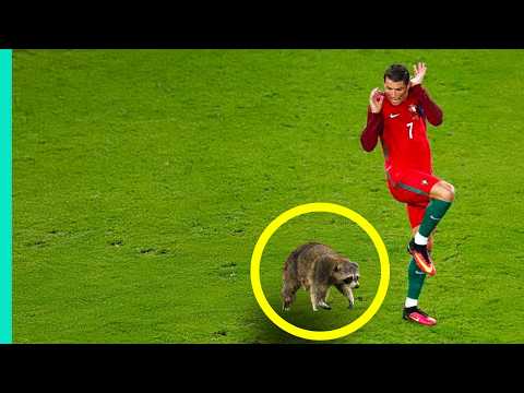 Futbol Sahalarında Yaşanan En Absürt ve Komik Olaylar