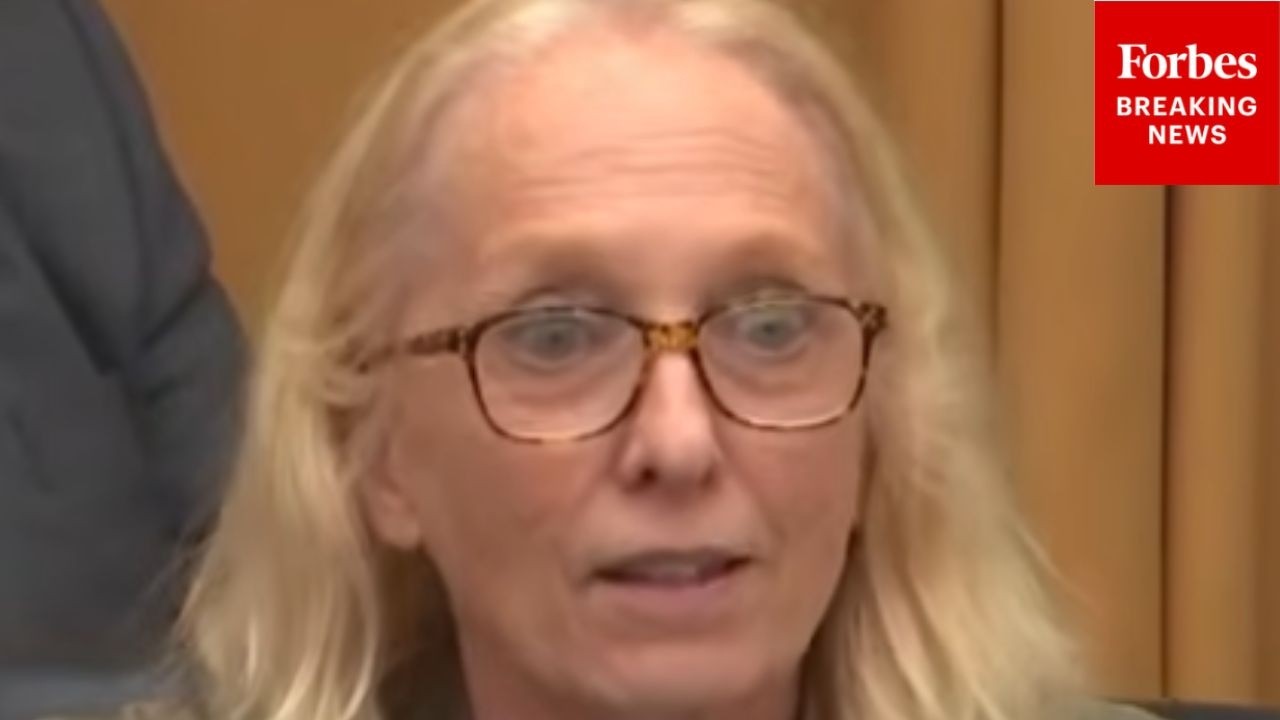 Video: Scanlon cites 70% of ICE detainees lack convictions in sanctuary policy hearing