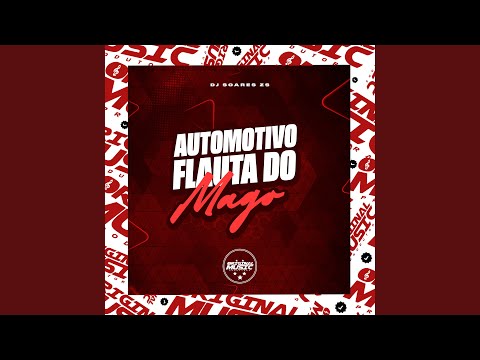 AUTOMOTIVO FLAUTA DO MAGO