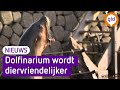 Dolfinarium wordt diervriendelijker; walrussen, tuimelaars en zeeleeuwen weg
