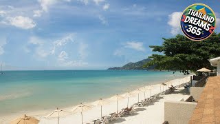 Chaweng Cove Beach Resort | Koh Samui, Thailand | Hotel Review 🏩