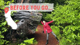 WHAT NO ONE TELLS YOU ABOUT HUMBOLDT COUNTY 🌲🤫