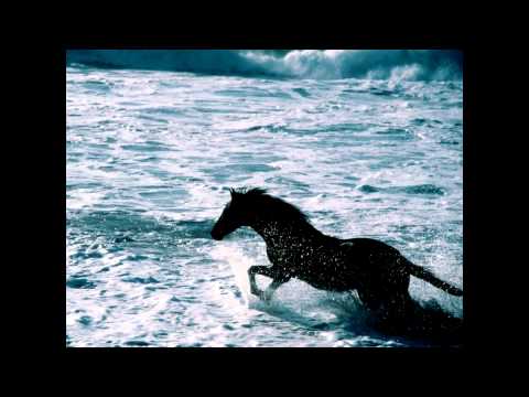 Congvi, Doble M (Sein) y Shn - Para tener nada