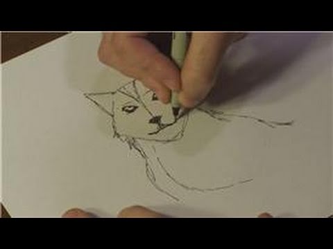 How to Draw Animals : How to Draw Real Wolves