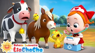 Download lagu Hewan Peternakan Pergi ke Dokter! 🐮 | Lagu Dokter | Lagu Anak-anak | LiaChaCha Bahasa Indonesia mp3 Download lagu Hewan Peternakan Pergi ke Dokter! 🐮 | Lagu Dokter | Lagu Anak-anak | LiaChaCha Bahasa Indonesia mp3