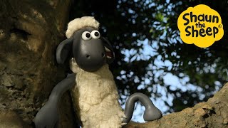 Download lagu Stuck up a tree!🐑 Shaun the Sheep 🐑  - Cartoons for Kids 🐑 Full Episodes Compilation [1 hour] mp3