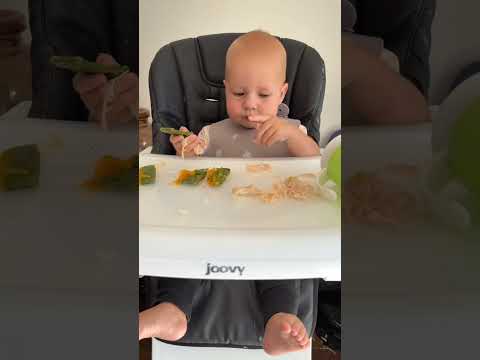 Turkey fan! 🦃 #blw #babyledweaning #babyfood #babieseating #babies #baby #mom #moms #momlife