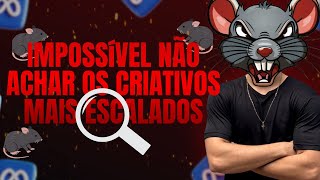 Como achar as ofertas e criativos mais escalados no Facebook Ads