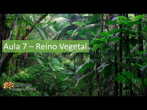 Reino Vegetal