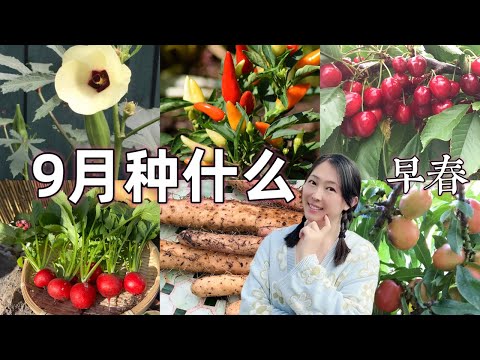 , title : '【种植88】9月种什么｜家庭园艺 春季种菜 What vegetables can plant in September'