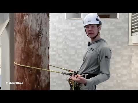 Petzl Zillon Adjustable lanyard by Petzl Technical Institute