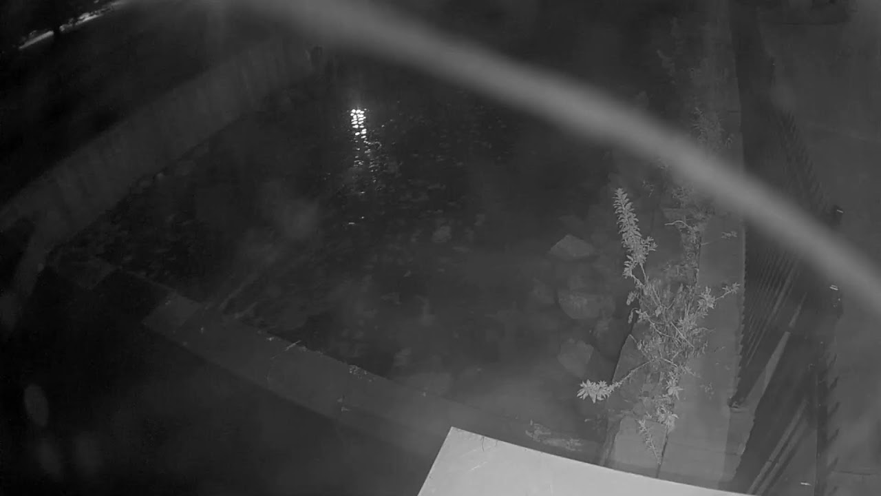 Live webcam view of Cuenca de Sedimentación del Lago Kiwanis