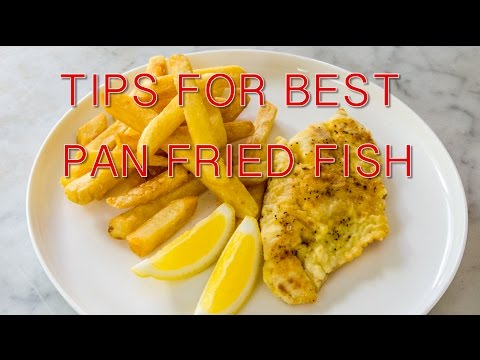 download lagu mp3 mp4 Best Way To Cook Snapper Nz, download lagu Best Way To Cook Snapper Nz gratis, unduh video klip Best Way To Cook Snapper Nz