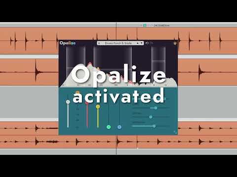 Free Download Opalize v1.1.0 AAX VST3 x64 WiN-SEnki