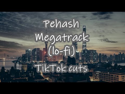Pehash - MEGATRACK (lo-fi) (TikTok cuts)