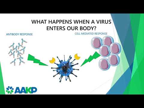 AAKP HealthLine: COVID-19, Monoclonal Antibody Treatments, and Kidney Patients