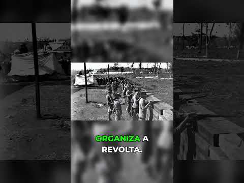A morte não encerra nada, ela organiza a revolta!