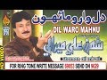 Dil Waaro Maarho Shaman Ali Mirali ALbum 70