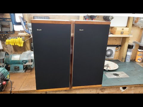 Loud Speaker Servicing. Ft. B&W DM4