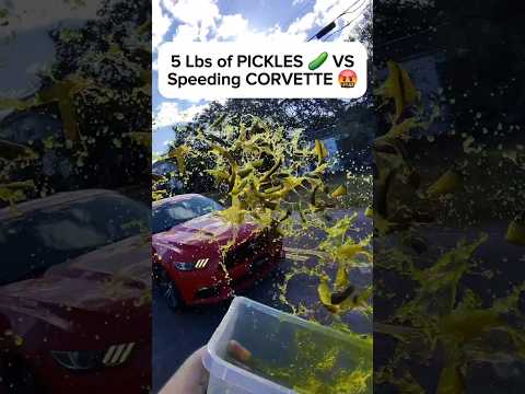 Throwing 5 Lbs of Pickles 🥒 at Felony Speeder in School Zone 😂