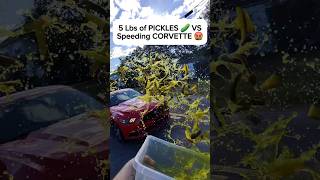 Throwing 5 Lbs of Pickles 🥒 at Felony Speeder in School Zone 😂